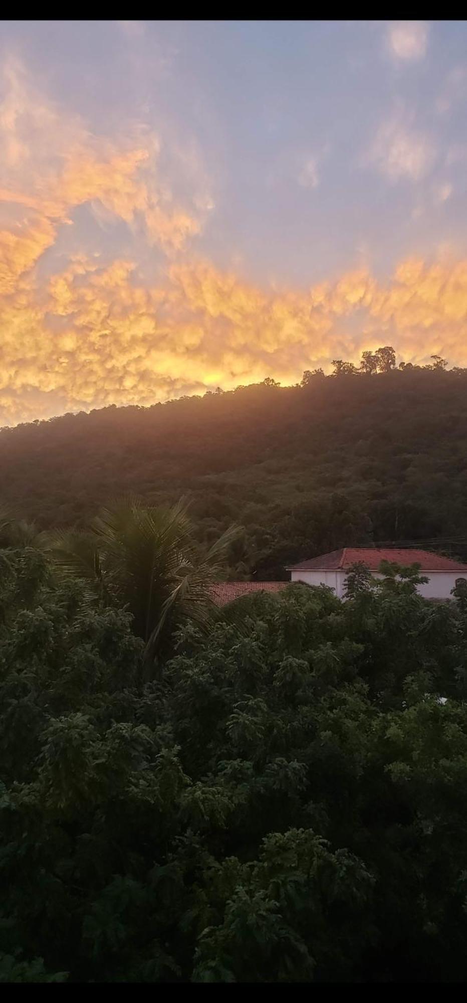 Located In Guaratiba Rio de Janeiro